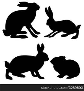 silhouettes hare and rabbit on white background