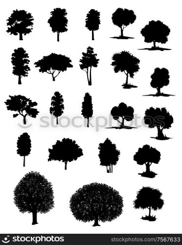 Silhouettes of assorted trees with leafy canopies in different shapes and sizes