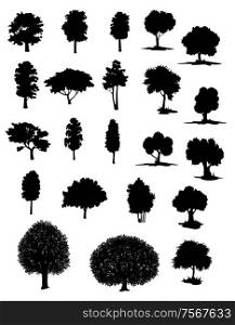 Silhouettes of assorted trees with leafy canopies in different shapes and sizes