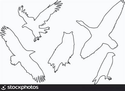Silhouettes of birds on white background.