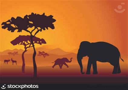 Silhouettes of elephant in national park in sunset background