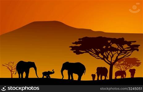 Silhouettes of elephants on backgrounds Kilimanjaro