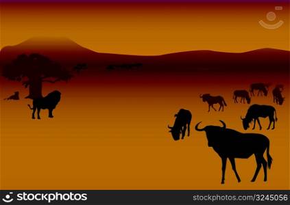 Silhouettes of herd of antelopes and lions in savannah