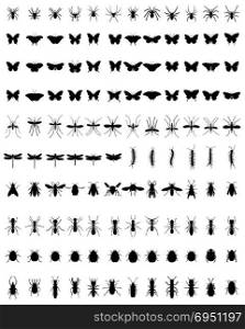 silhouettes of insects
