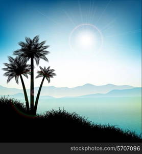 Silhouettes of palm trees in a summer landscape