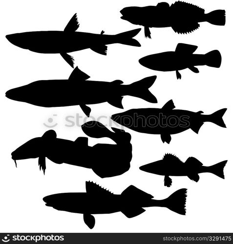 silhouettes of river fish on white background