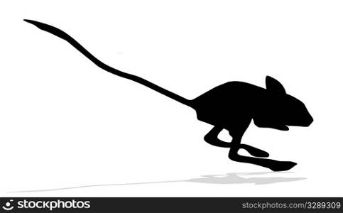 silhouettes of the jerboa on white background