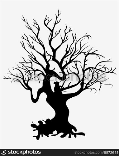 silhouettes of tree
