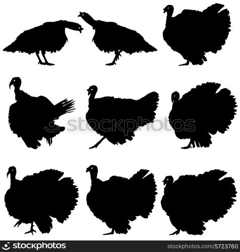 Silhouettes of turkeys. Vector illustration.