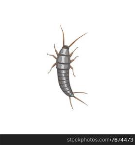 Silverfish or firebrat icon, insect pest control disinsection and extermination, vector. Silverfish firebrat insect, domestic parasites disinfection and agrarian pesticide pest control disinfestation. Silverfish or firebrat icon, insect pest control
