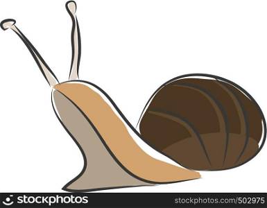 Simple bown snail vector illustration on white background.