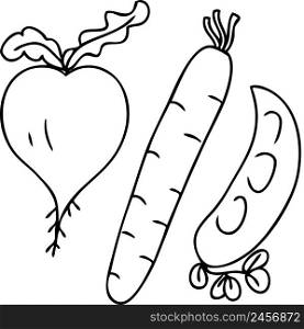 Simple doodle of vegetables: carrots, peas, turnips, beets. Cartoon style. Hand drawn vector illustration. Design for T-shirt, textile and prints.