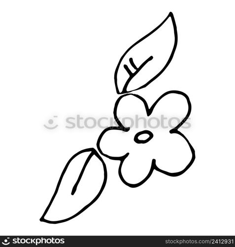 Simple flower and leaf design element outline isolated. Hand drawn vector.. Simple flower and leaf design element outline isolated.