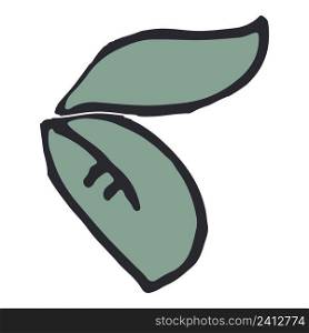 Simple leaf design element isolated. Hand drawn vector.. Simple leaf design element isolated.