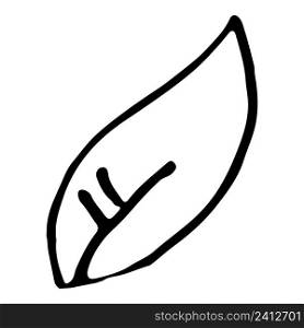 Simple leaf design element outline isolated. Hand drawn vector.. Simple leaf design element outline isolated.