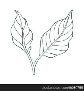 Simple linear icon of chili pepper leaves