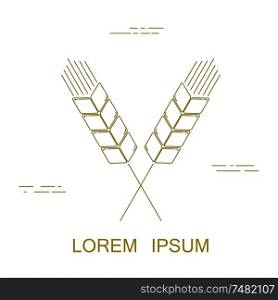 Simple linear icon of spikelets on a white background. Sign of agriculture. Logo for business. Vector illustration