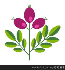 Simple minimalistic bright green branch with leaf and pink berries. Flower collection of colorful plants for seasonal decoration . Stylized icons of botany. Stock vector illustration in flat style.. Simple minimalistic bright green branch with leaf and pink berries. Flower collection of colorful plants for seasonal decoration . Stylized icons of botany. Stock vector illustration in flat style