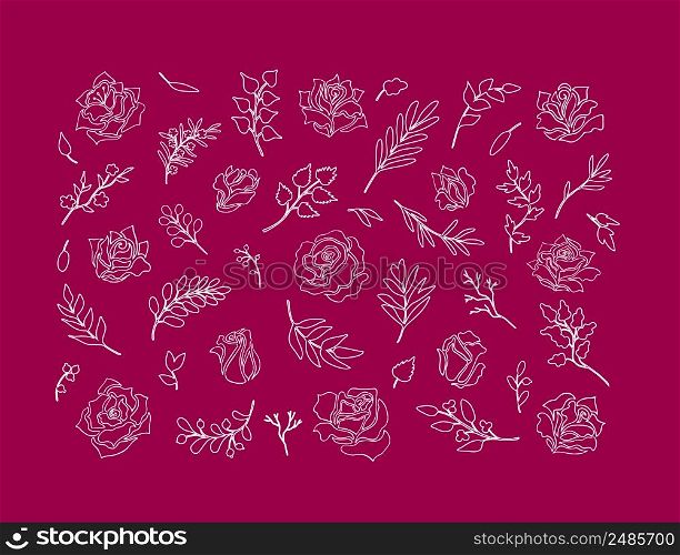 Simple modern abstract rose and twigs outlines. Unique hand drawn nature, beauty, eco decor. Uniform line art, doodle style isolated fantasy elements. Set of rose flowers and buds, leaves and twigs. Collection of floral dividers, vignettes in original line style