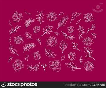 Simple modern abstract rose and twigs outlines. Unique hand drawn nature, beauty, eco decor. Uniform line art, doodle style isolated fantasy elements. Set of rose flowers and buds, leaves and twigs. Collection of floral dividers, vignettes in original line style