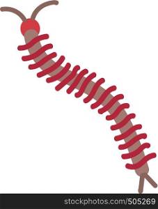Simple vector illustration of a brown and red centipede on white background.