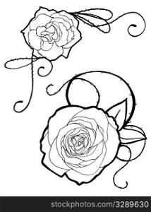 Simplified hand drawn roses.