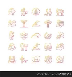 Singapore national symbols gradient linear vector icons set. Tourist attractions. Living in Singapore. Flora and fauna. Thin line contour symbols bundle. Isolated outline illustrations collection. Singapore national symbols gradient linear vector icons set