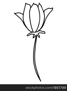 Single flower, hand drawing vector illustration. Flower with blossoming petals, black outline. Minimalistic botanical element.. Single flower, hand drawing vector illustration.