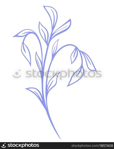 Single graceful branch with elongated leaves vector illustration. A simple botanical element for decoration. Minimalist stem with sheets.Hand drawing.. Single graceful branch with elongated leaves vector illustration.