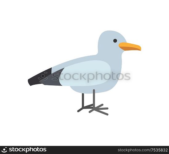 Single grey seagull isolated on white. Stylized nautical animal emblem. Standing little bird with black and white plumage vector in flat style illustration. Stylized Nautical Little Seagull Emblem Vector