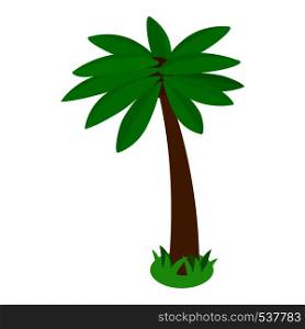 Single palm tree icon in isometric 3d style isolated on white background. Tropical palm tree icon, isometric 3d style
