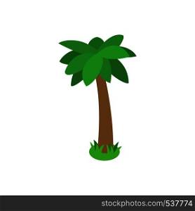 Single palm tropical tree icon in isometric 3d style isolated on white background. Single palm tree icon, isometric 3d style