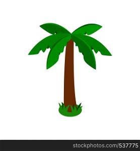 Single palm tropical tree icon in isometric 3d style on white background. Palm tree icon, isometric 3d style