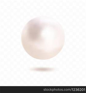 Single pearl isolated on transparent background. Spherical beautiful 3D orb with transparent glares and highlights. Vector Illustration