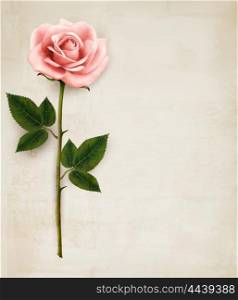 Single pink rose on an old paper background. Vector.