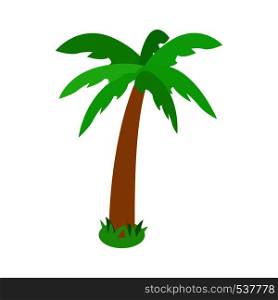 Single standing palm tree icon in isometric 3d style isolated on white background. Palm tropical tree icon, isometric 3d style