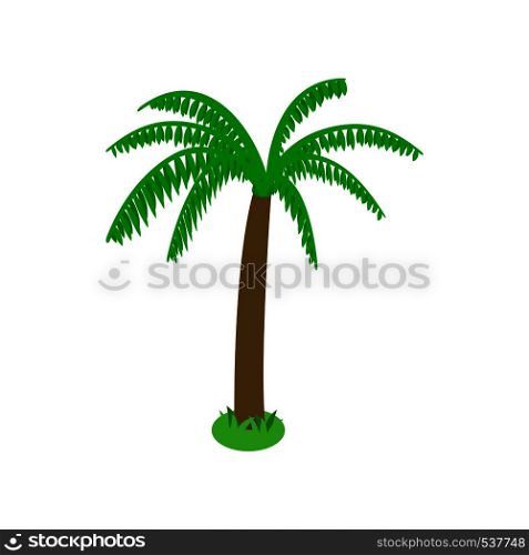 Single standing palm tree icon in isometric 3d style on white background. Palm tree icon, isometric 3d style