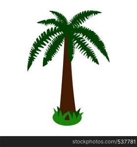 Single standing palm tropical tree icon in isometric 3d style on white background. Palm tropical tree icon, isometric 3d style
