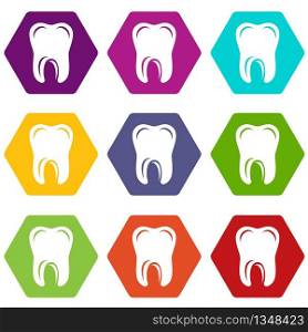 Single tooth icons 9 set coloful isolated on white for web. Single tooth icons set 9 vector