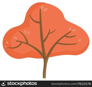 Single tree in orange color element of autumn park. Botany symbol with colorful leaves on twigs. Wooden plant with falling foliage. Seasonal view of wood outdoor, natural object on white vector. Wooden Plant with Foliage, Autumn Tree Vector