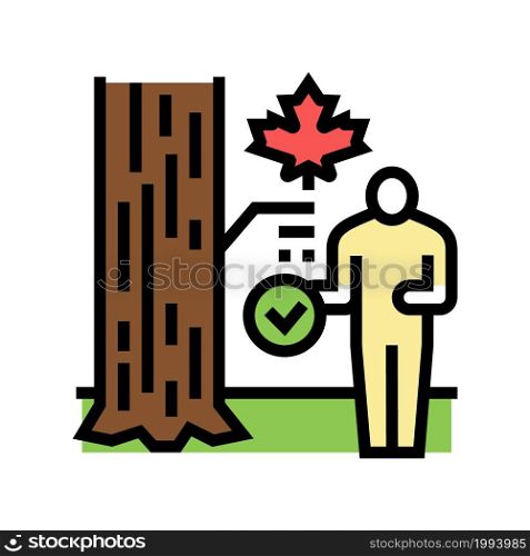 site and tree selection color icon vector. site and tree selection sign. isolated symbol illustration. site and tree selection color icon vector illustration