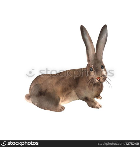 Sitting cute brown bunny with standing ears in watercolor. Elements for a happy Easter and farms design. Pretty rabbit. Vector