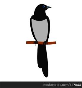 Sitting magpie icon. Flat illustration of sitting magpie vector icon for web. Sitting magpie icon, flat style