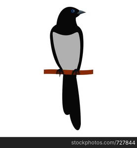 Hand drawn bird. Redstart. Outline drawing. Vector illustration. Black ...