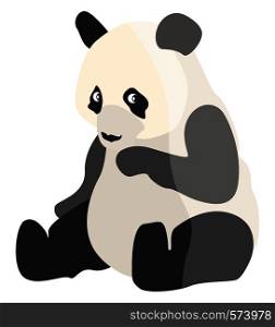 Sitting panda, illustration, vector on white background.