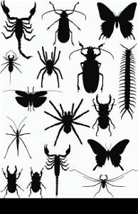 sixteen black silhouette of exotic insects and arachnids isolated on white background