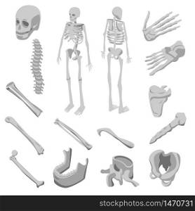 Skeleton icons set. Isometric set of skeleton vector icons for web design isolated on white background. Skeleton icons set, isometric style