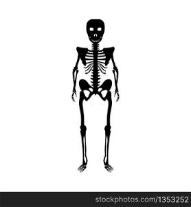 Skeleton Over White Background for Creating Halloween Designs. Vector illustration.