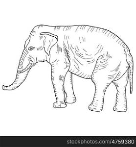 Sketch a large African elephant on white background. Vector illustration. Sketch a large African elephant on a white background. Vector illustration.