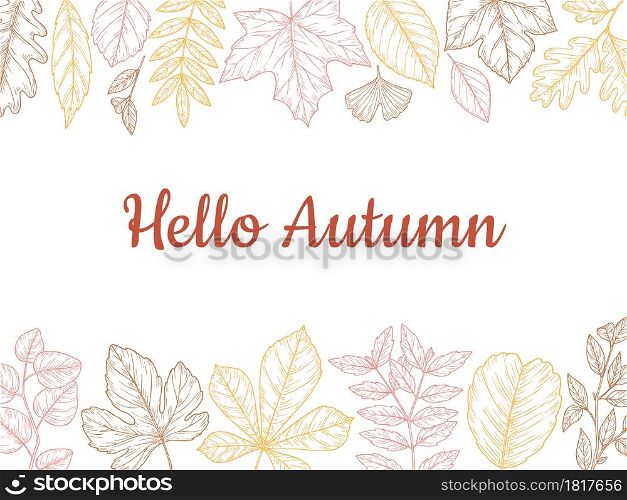 Sketch autumn leaves background. Fall leaf banner, colorful drawing foliage. Forest nature of november october botanical vector illustration. Botany organic seasonal, birch leaf and ecology floral. Sketch autumn leaves background. Fall leaf banner, colorful drawing foliage. Forest nature of november october botanical vector illustration